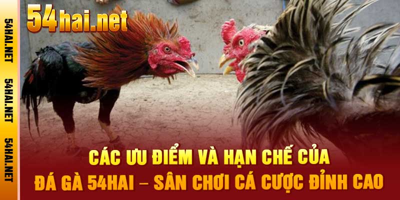 Đá Gà 54hai